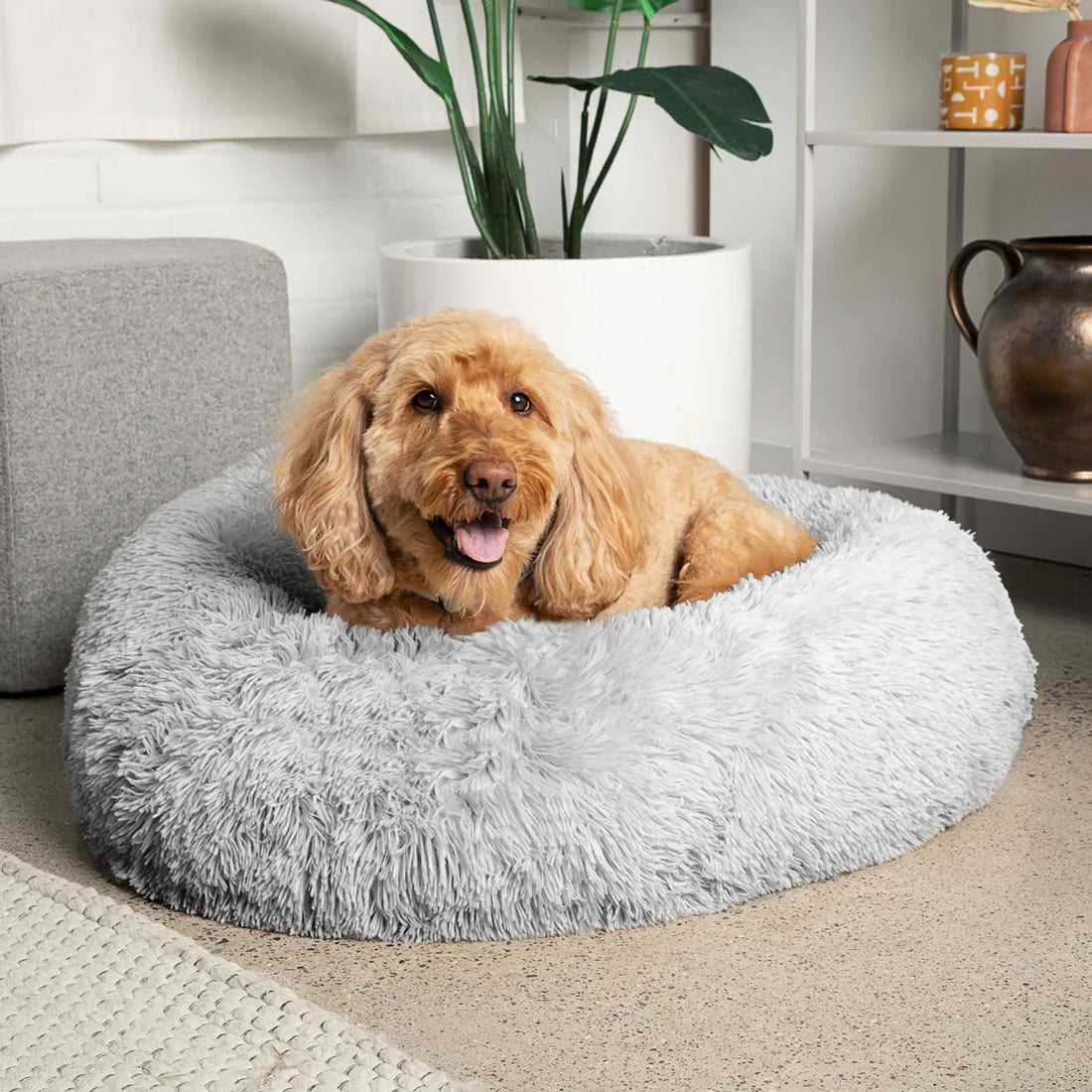 Why a Good Pet Bed Matters