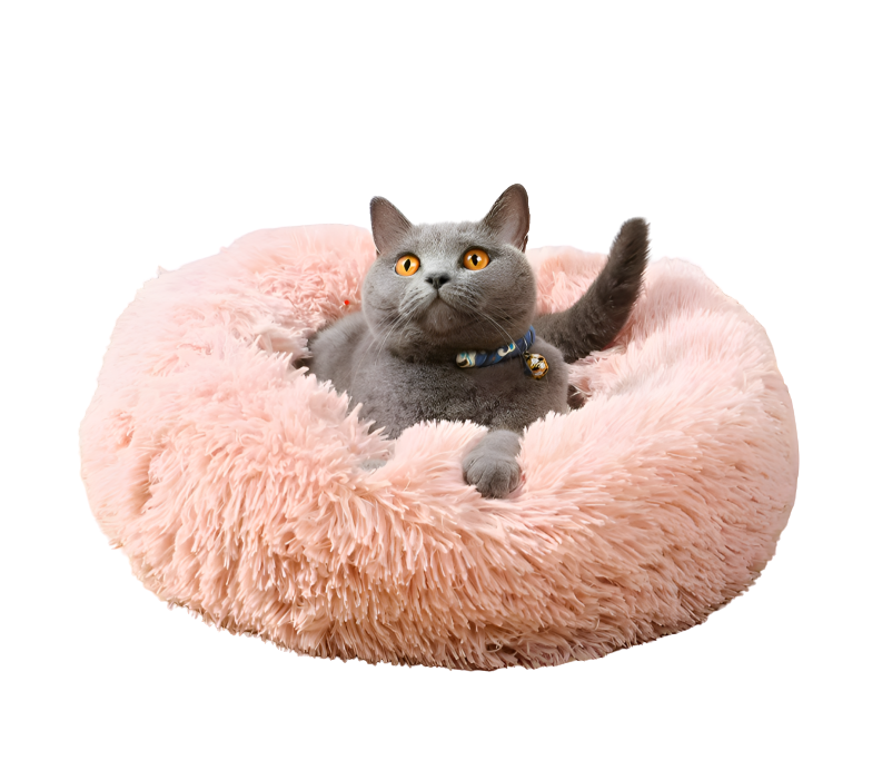 #color_pink