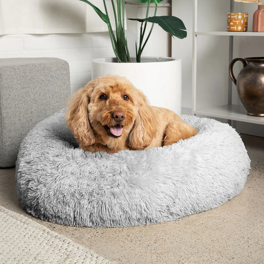Why a Good Pet Bed Matters